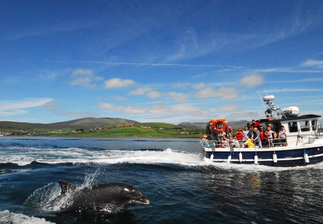 Dingle Harbour Cottages 3 Bed Sleeps 7 By Trident Holiday Homes エクステリア 写真