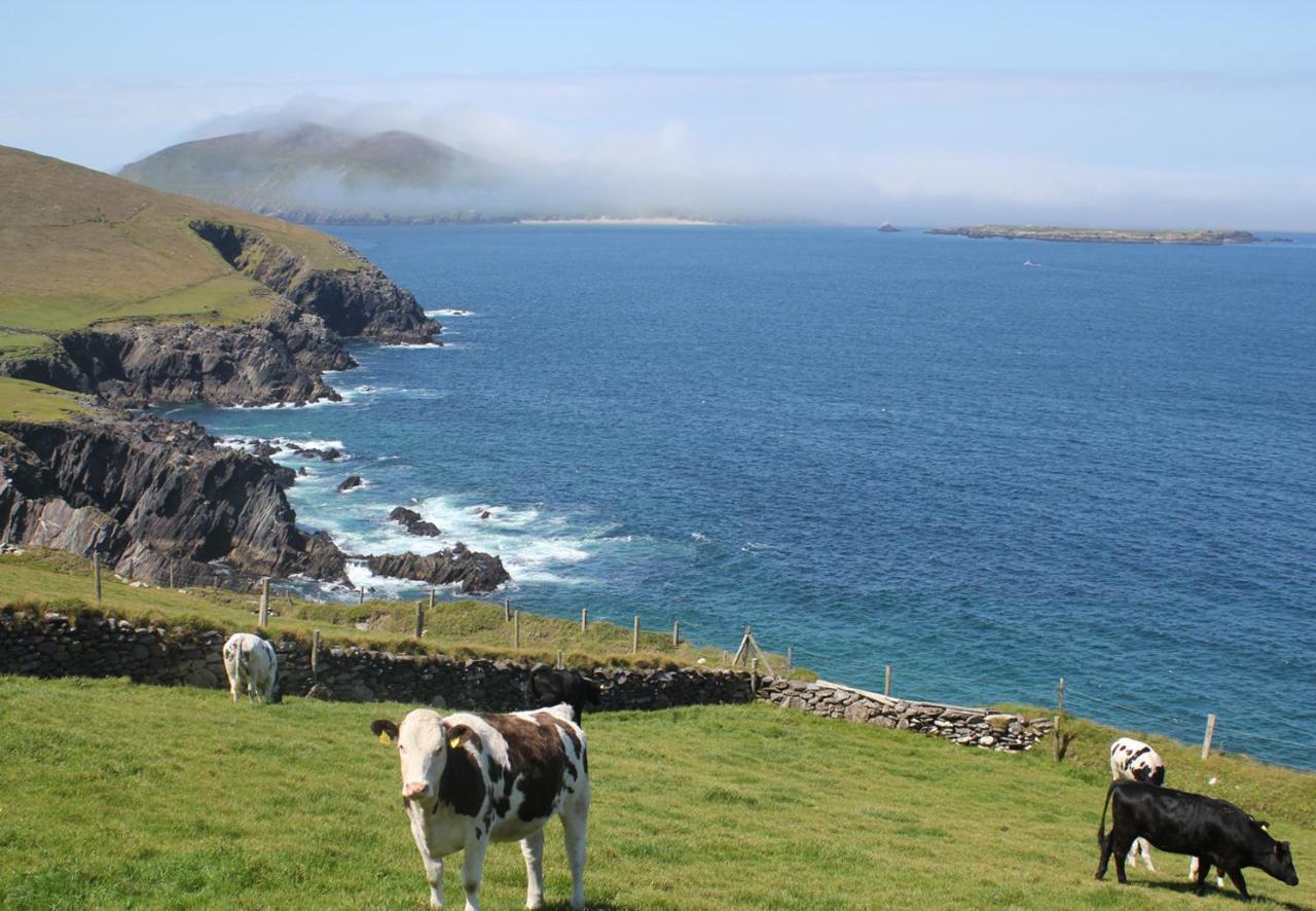 Dingle Harbour Cottages 3 Bed Sleeps 7 By Trident Holiday Homes エクステリア 写真